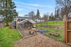 Chicken Run - 
