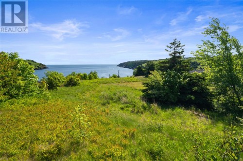 41 Lower Street, Torbay, NL 