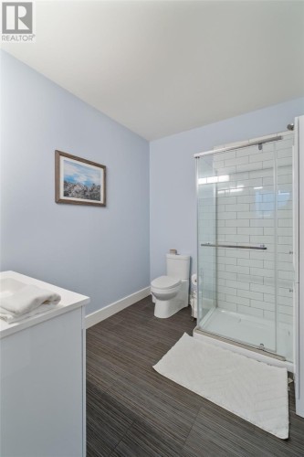 Basement Bathroom - 41 Lower Street, Torbay, NL 