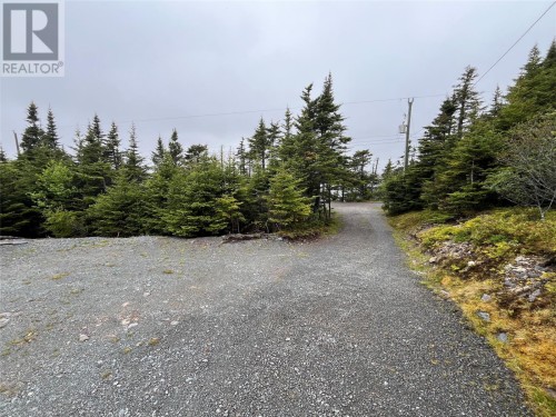 3 Placentia Junction Road, Placentia Junction, NL 