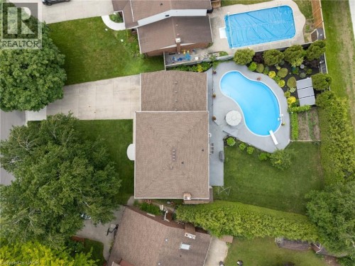 Rear yard featuring a freeform swimming pool with concrete surround, expansive lawn, mature perimeter hedging, and established landscaping - 7 Thomson Road, Simcoe, ON 