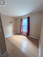 lower unit bedroom 2 - 