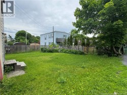 backyard - 