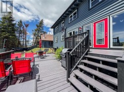 Back yard - 