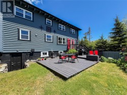 Back yard - 