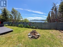 Back yard - 