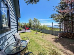 Back yard - 