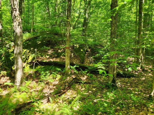 Terre à bois - 710 Ch. Rosenberry, Sutton, QC 