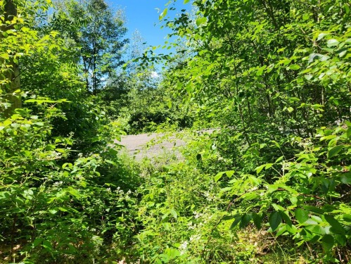 Autre - 710 Ch. Rosenberry, Sutton, QC 