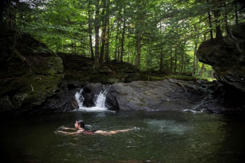 Bord de l'eau - 710 Ch. Rosenberry, Sutton, QC 