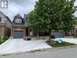 BASEMENT - 29 MARSHMARIGOLD DRIVE  Brampton, ON L7A 2S7