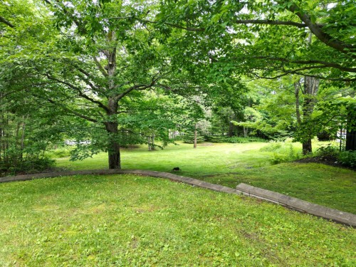 Terre/Terrain - 230 Rue René, Magog, QC 
