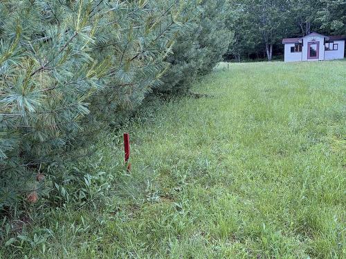 1A St Andrews River Road, Coldstream, NS 