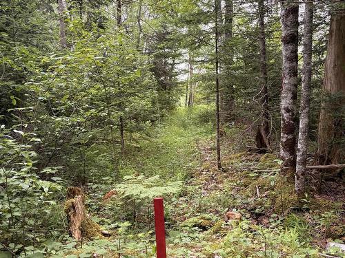 1A St Andrews River Road, Coldstream, NS 