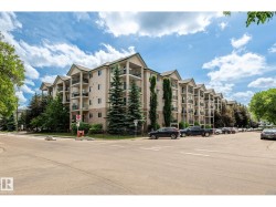 #228 11325 83 ST NW  Edmonton, AB T5B 4W5