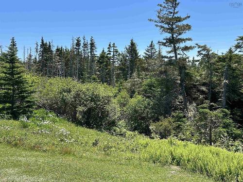 1697 Route 330, Newellton, NS 