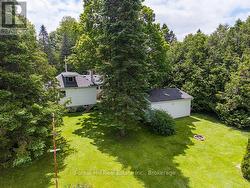 Mature trees and open space - 