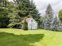 Garden/Wood Shed - 