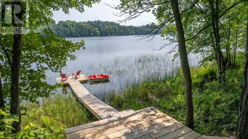 29263 Highway 7, Frontenac (Frontenac Centre), ON 