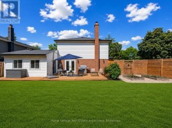 Backyard - 