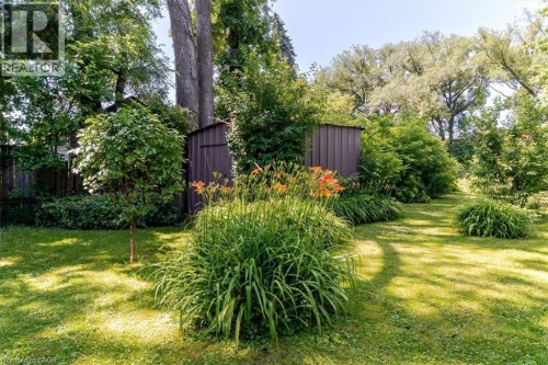 Expansive lawn featuring mature trees and established landscaping - 382 Beach Boulevard, Hamilton, ON 