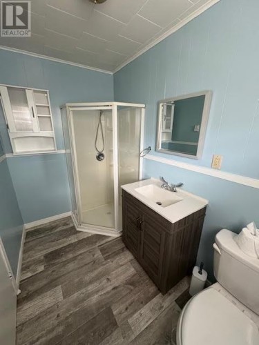 ensuite - 9 Buttons Hill, Old Perlican, NL 