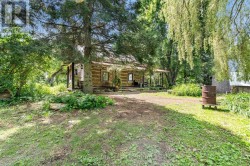Willow trees and many mature trees - 