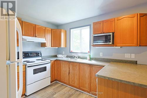 165 Thurman Circle, London East (East D), ON 