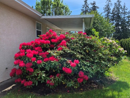 5295 Crestview Dr, Nanaimo, BC 