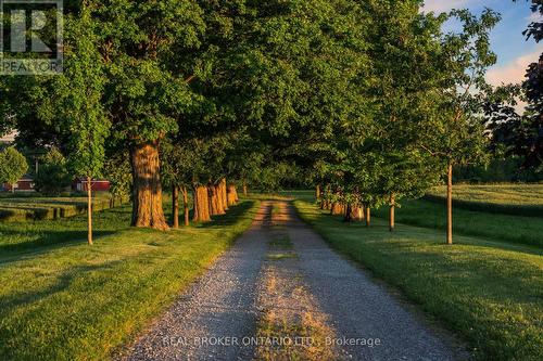 99 County Road 18 Road, Brant, ON 