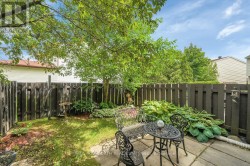 Backyard - 