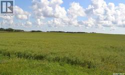 Ituna 5 Quarter Farm Ituna Bon Accord Rm No. 246, SK S0A 1A0