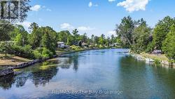 Your Backyard - 