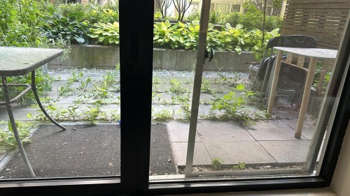 Patio - 250-1414 Rue Chomedey, Montréal (Ville-Marie), QC 