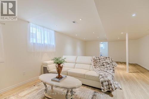 Basement living area - 19 Black Tern Crescent, Ottawa, ON 