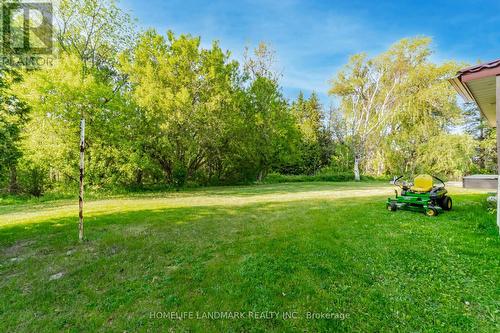 4754 County Rd 90, Springwater, ON 