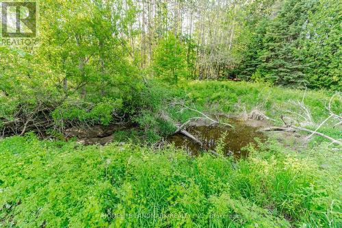 4754 County Rd 90, Springwater, ON 
