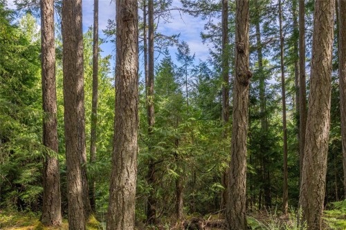 4611 Mate Rd, Pender Island, BC 