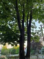 LOT Edward ST  Saint Andrews, NB E5B 1N2