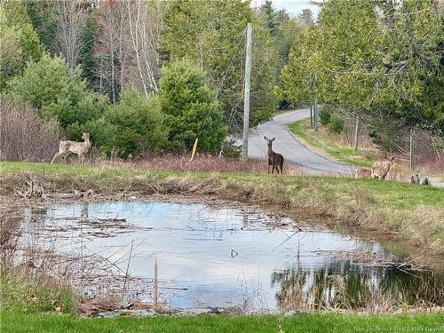 164 Gore Rd, Fredericton Junction, NB 