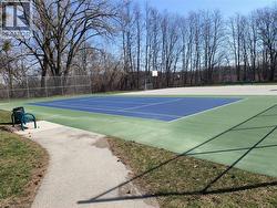 Multi-sport court featuring blue and green surfacing, perimeter fencing, and a basketball hoop - 