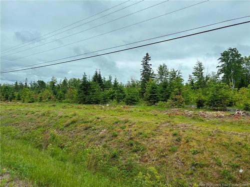 - Route 17, Kedgwick, NB 