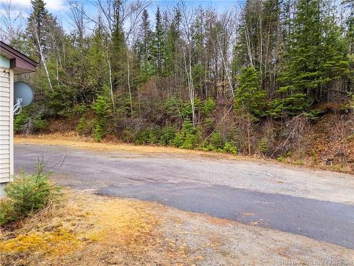 44 Steenberrick Crt, Zealand, NB 