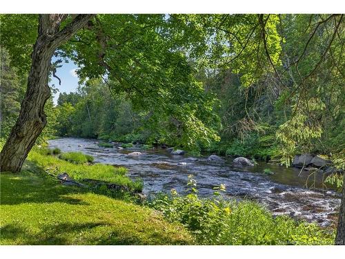 38 Blue Jay Lane, Middle River, NB 