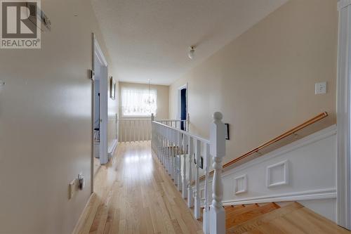 55 Carter Avenue, Corner Brook, NL 