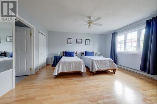 55 Carter Avenue, Corner Brook, NL 