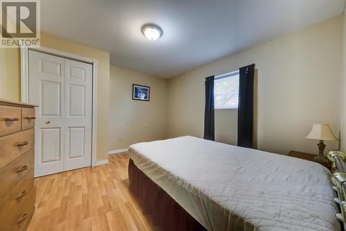 55 Carter Avenue, Corner Brook, NL 