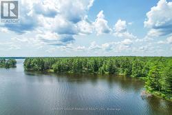 Enveloped by the QEII Wildlands - 