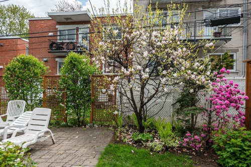 Cour - 326 Rue Hepworth, Montréal (Lasalle), QC - Outdoor