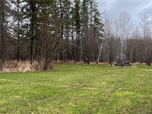Boisé - 47-56 Ch. De Moffet-Latulipe, Moffet, QC 